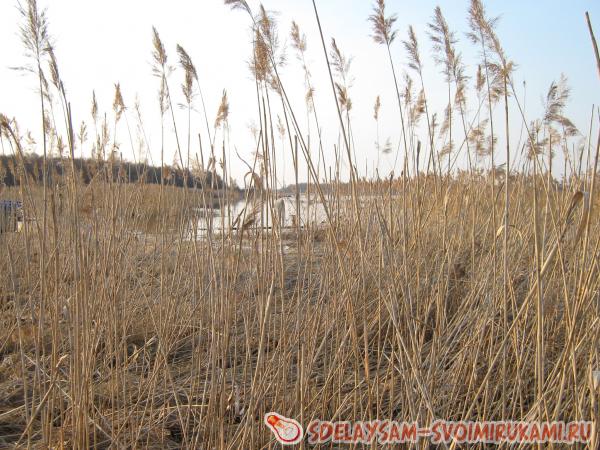 ������������ ������