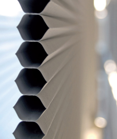 ������ � ���� �������� ���