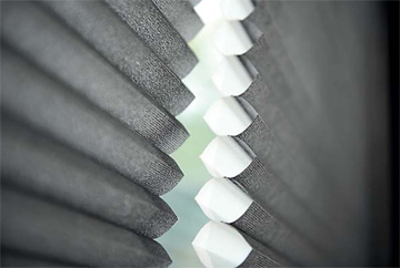 ����� ��� ������ �� ������