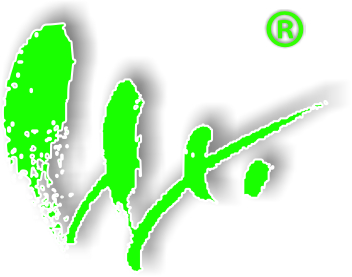       2013 