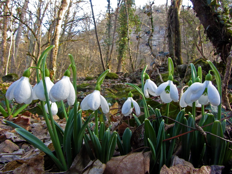 ������������! �������� �����!